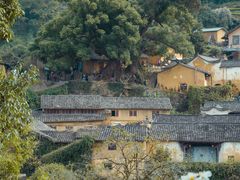 -杨家堂村