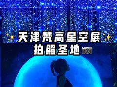 -天津梵高星空艺术馆(天河城旗舰店)