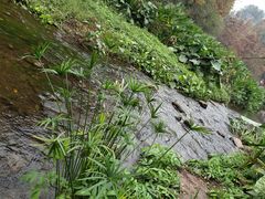 -重庆彩云湖湿地公园