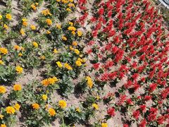 -长春公园(普阳街道)