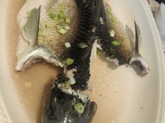 -天喜酒楼饭市·茶市(同德皇宫店)