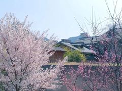 -贵阳市花溪国家城市湿地公园