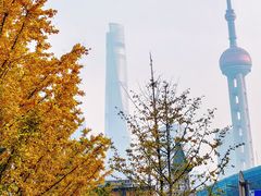 -北外滩滨江绿地