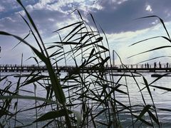 -滆湖低碳生态公园