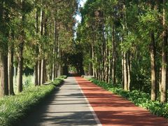 -上海长兴岛郊野公园