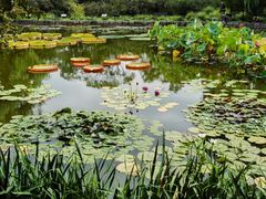 -国家植物园南园