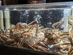 -紫阳海鲜楼·传承闽味(长乐路总店)