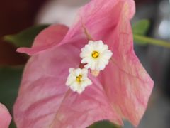 -昆明国际花卉拍卖交易中心