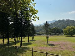 -福建鲤鱼洲酒店