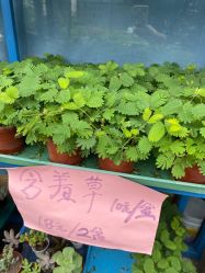 -梦田都市农场(银泰城店)