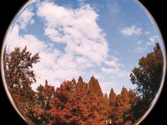 -九曜山