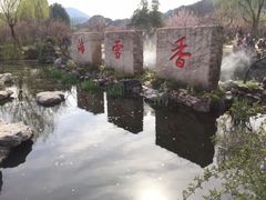 -香雪海