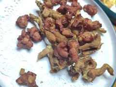-张鸟园农家乐(张鸟园店)