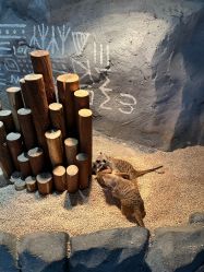 -Zoolung Zoolung动物主题公园(海信广场店)