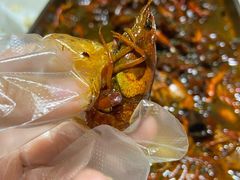 -蛙蛙叫干锅年代(簋街总店)