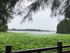 -东湖落雁景区