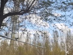 -龙塔