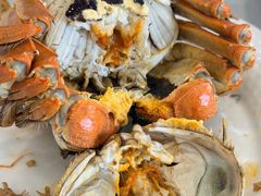-蟹天蟹地农家菜·阳澄湖大闸蟹(浅水湾店)