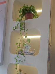 -禾壹净·素颜美问题肌肤修护中心