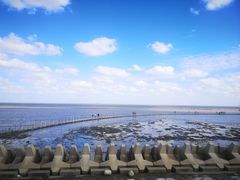 -南汇嘴观海公园