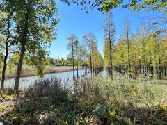 -泗洪洪泽湖湿地景区