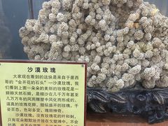 -游龙石文化科普馆