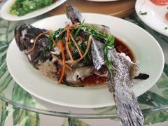 清蒸龙胆石斑鱼-四姑娘川味海鲜(八爪鱼店)