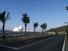 -野狸岛