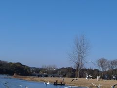 -渤公岛生态公园