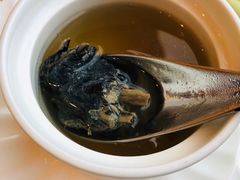 花旗参炖乌鸡-锦江宾馆-花园餐厅