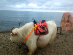 -青海湖国家重点风景名胜区