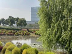 -春花秋色城市公园