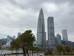 -华强电子世界(深圳二店)