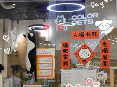 -COLOR PETS 撸猫馆·购猫·猫咖(长风大悦城店)