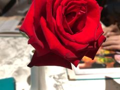 餐具摆设-关夫人餐厅(阳光广场店)