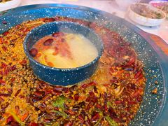 -渔香岛美蛙鱼头火锅(黔灵山公园店)