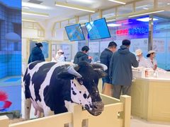 -红星前进面包牛奶公司(君太店)