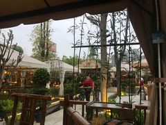 -二荆条·蜀鲜汇城市森林火锅