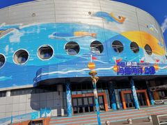 -海合安青岛极地海洋公园