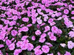 -徐家汇源景区-衡山公园