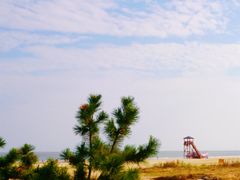 -日照海滨国家森林公园