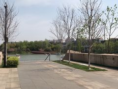 -青枫公园