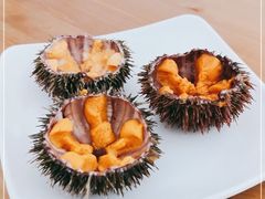 -海胆小馆(东北水饺·春柳店)