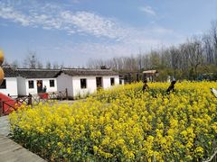 -溱湖国家湿地公园