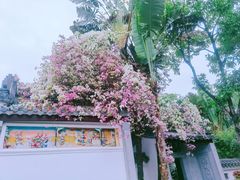 -深圳国际园林花卉博览园