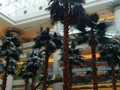 -威斯汀舞台餐厅