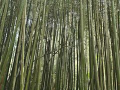 -竹泉村旅游度假区