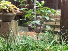 -月栖华明-云间草堂清茶馆(泗泾古镇店)