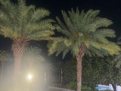-木屋烧烤(惠阳华润小径湾店)