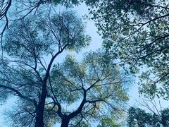 -棋盘山风景区
